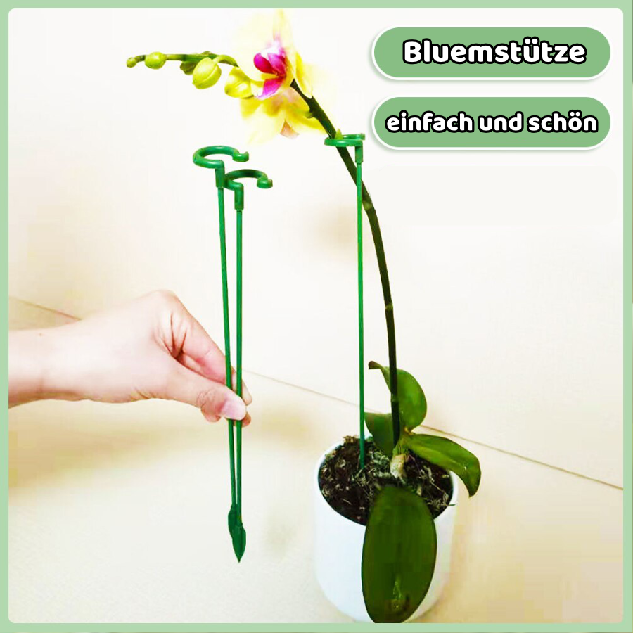 Pflanzenstütze Plant Buddy Gartenbau ChicCasa   