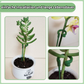 Pflanzenstütze Plant Buddy Gartenbau ChicCasa   